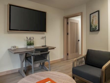 A compact living area with a wall-mounted TV, a small desk and chair, a potted plant, a bench chair, and a doorway leading to another room.